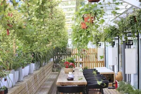 有古筝基础是否学习古琴更快呢?张萌老师来告