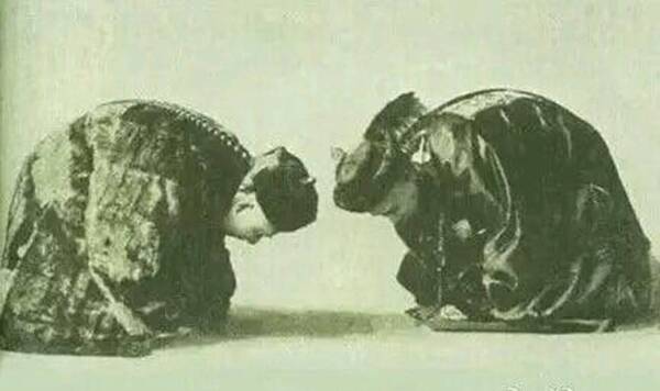 理论统计哪个省的男人最喜欢打老婆,东北人看