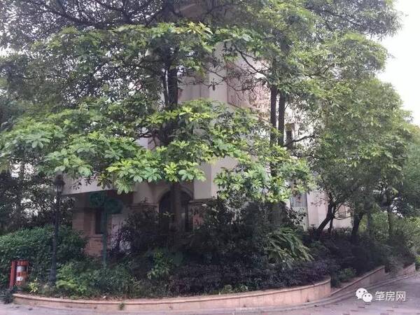 肇庆北岭星湖上院别墅拍卖