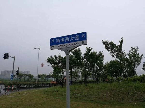 独家|特斯拉青睐上海的台前幕后