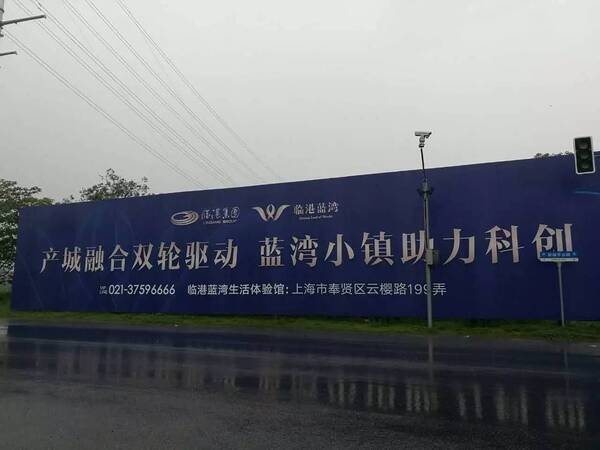 独家|特斯拉青睐上海的台前幕后