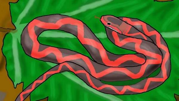 500万年古井发现怪异翅膀蛇化石,科学家称翅