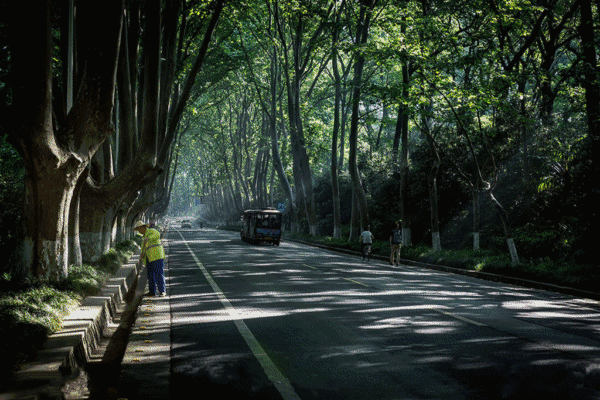 壁纸 风景 植物 桌面 1024_683 gif 动态图 动图