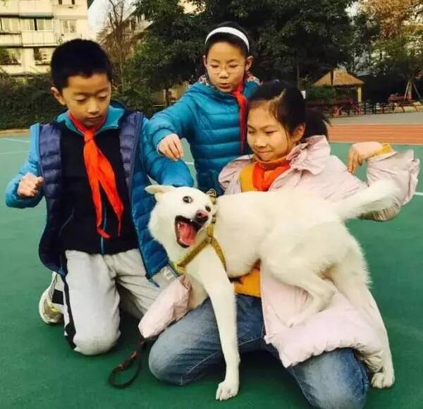 人士小学草堂蓝继红透露知情校长辞职将去民与小学a人士梦想图片