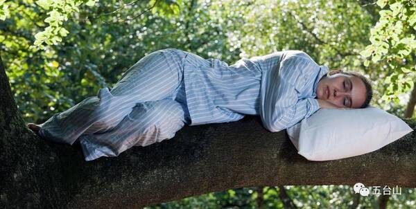 人到中年,一天要睡几个小时最好?(建议收藏)