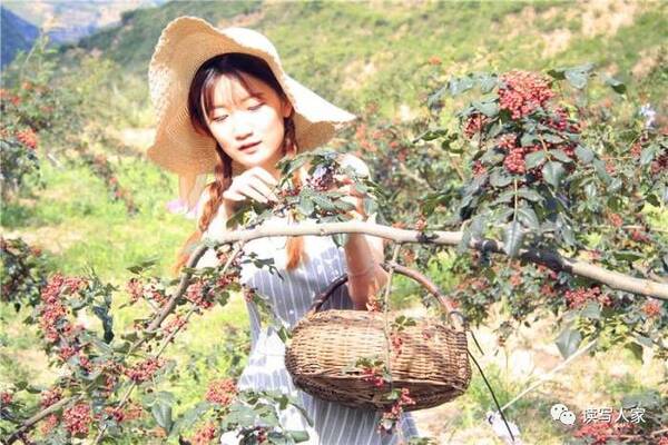 写郑成功的故事读到的感悟_读写人_趣读趣写