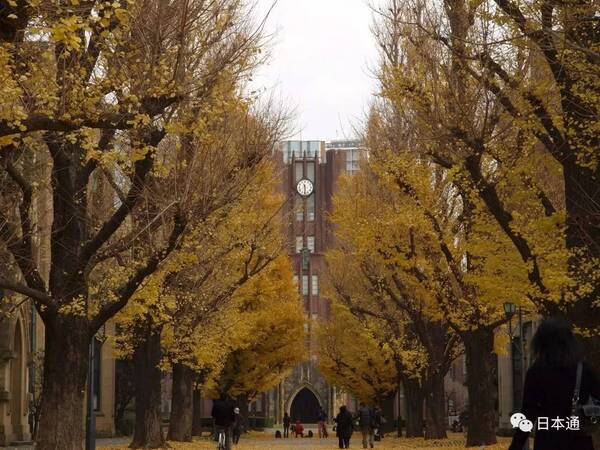 2017亚洲最具创新力大学排行榜TOP75!有你母