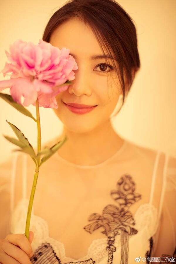 高圆圆剪影照美爆!工作室微博堪称美丽日记,网