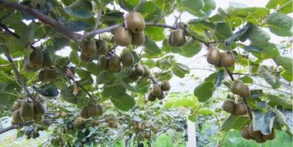 2017年贵州六盘水·第二届91金融贵州青少年