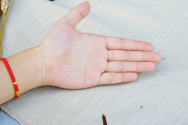 在这里也会陷入「选择困难症」!