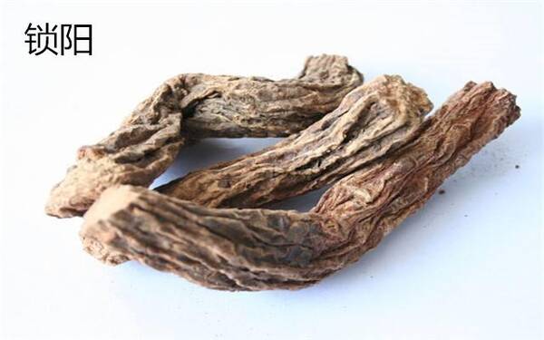 肾精用光了,古人有招补起来!祖宗的养生至宝,你竟一点