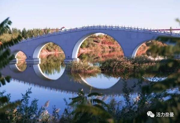 内蒙古青少年网球赛居然在咱奈曼旗举办了!