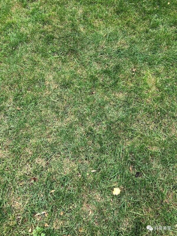 iPhone8Plus、小米MIX2拍照样张对比 | 苹果贵