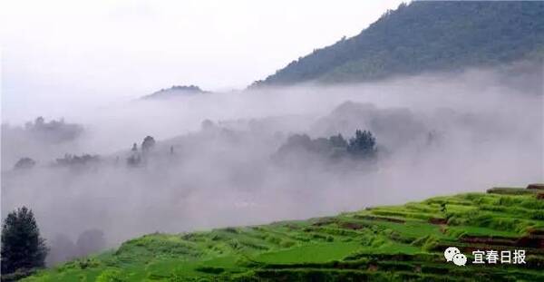 CCTV13《新闻直播间》:金黄的稻束,唯美的秋