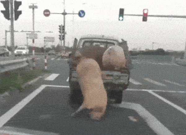 大家记住 不要和用note8的人斗表情包(审核不发)