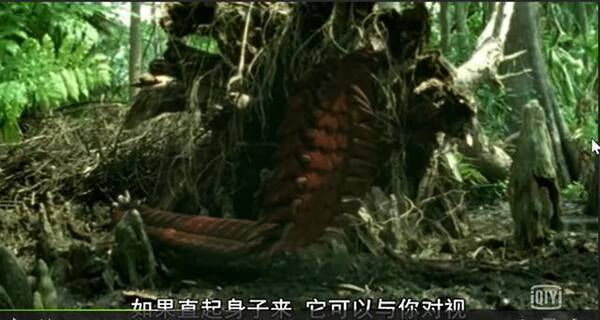 讲述地球几亿年进化历史的纪录片,解答了我关