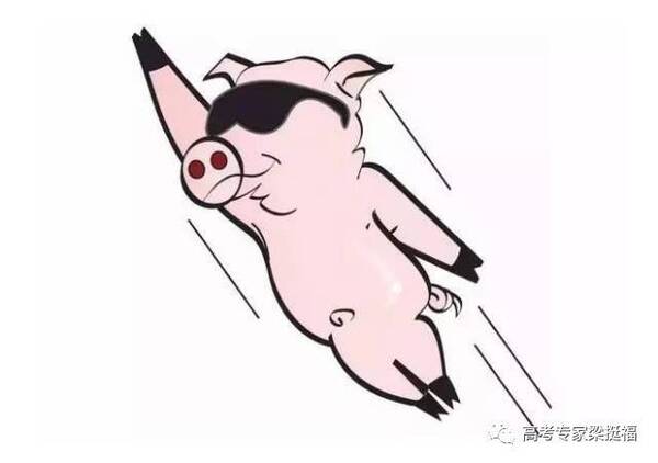 老梁推荐:聪明的人都在下笨功夫,愚蠢的人却在