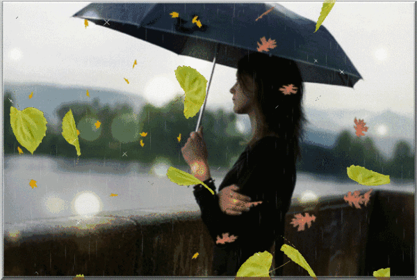 【美文欣赏】落叶-妙趣横生阅读网