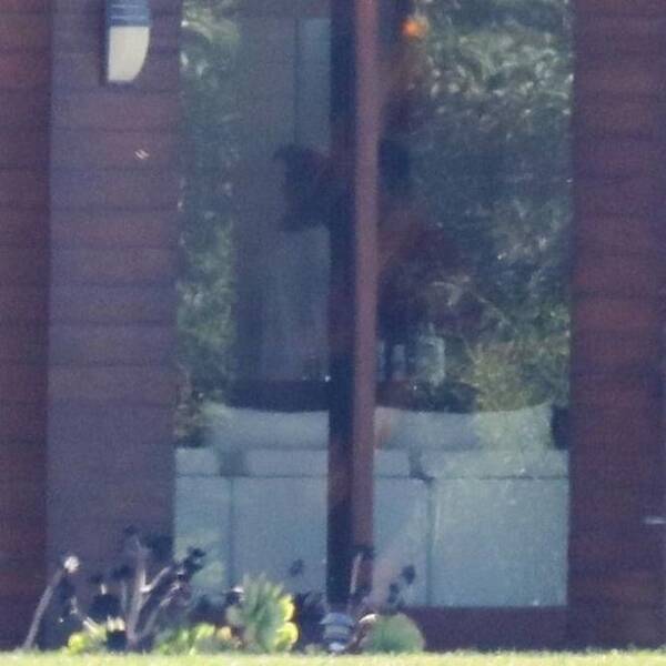 又又又复合了?贾斯丁比伯和赛琳娜租别墅过周