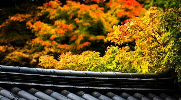 那堪永夜,明月空床,闻砧声捣,蛩声细,漏声长。