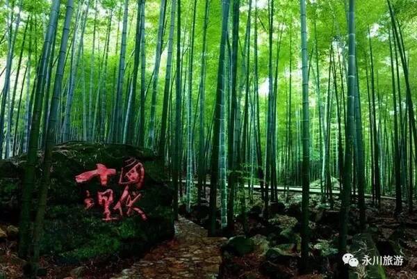 二月份重庆旅游景点推荐(重庆周边二日游旅游景点推荐)(图1) 《重庆旅游度假区地图》出炉!登山、泡