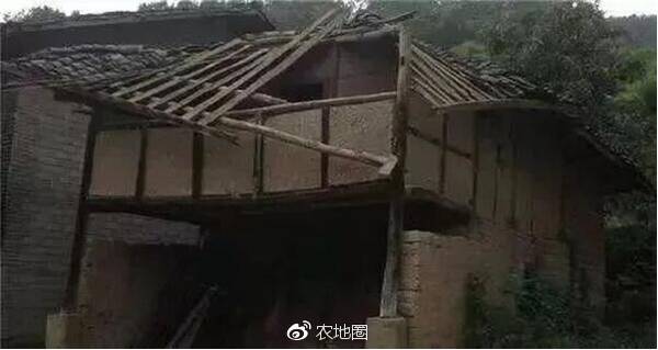 收入证明_2018年全国农民收入