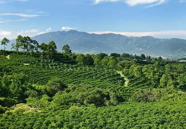 忘掉下一刻要做什么