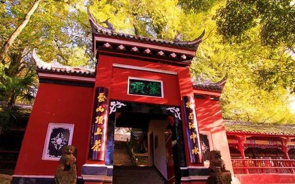 成都最新绝美银杏地图出炉,看完红叶看黄叶,一