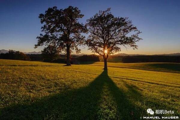 每周M43相机摄影作品 2017年11月第一周