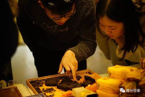 雅州恒泰的商业奇点-产品