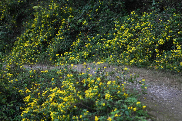 一条热毛巾、一个吹风机,在家就把过敏性鼻炎