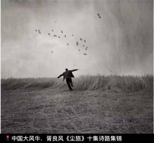 胥良风名作---颠峰会友,不一样情怀