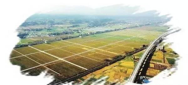 国家现代农业产业园政策解读