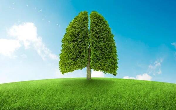 肺癌肿瘤全基因检测结果PTEN突变,依维莫司+