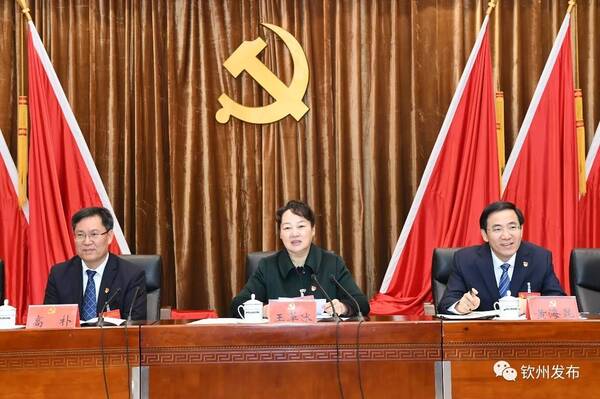 中国共产党钦州市第五届委员会第三次全体会议