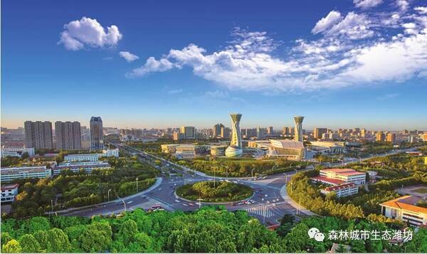 潍坊市林业局率先做客谁执法谁普法机关 普法