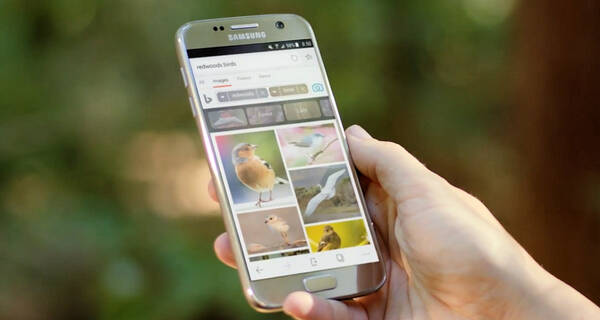 小胜利:微软Edge浏览器安卓版下载量破50万