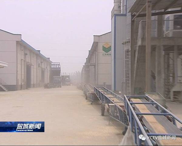 我市建立8千万元担保基金护航秋粮收购