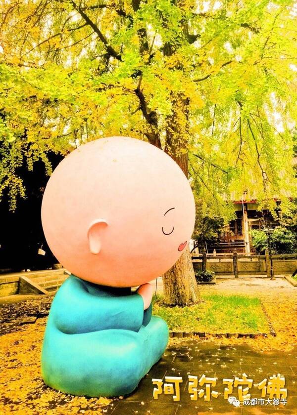 “新鲜出炉”大慈寺小沙弥圆一的呆萌画像