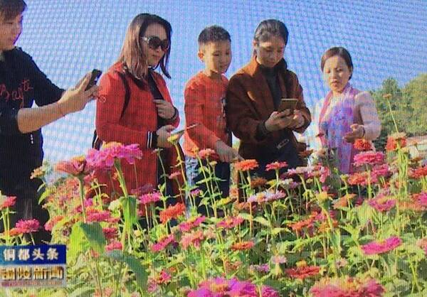 铜陵市地图_铜陵市人均收入