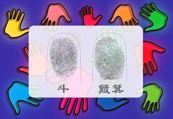 指尖上的秘密,你有几个簸箕几个斗,好坏一看便