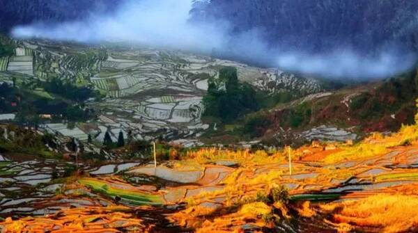 只要3小时!厦沙高速全线通车!沿途美景、美食全在此，约起~