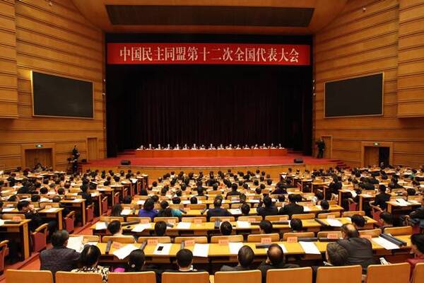 喜讯!宋纯鹏、万师强分别当选中国民主