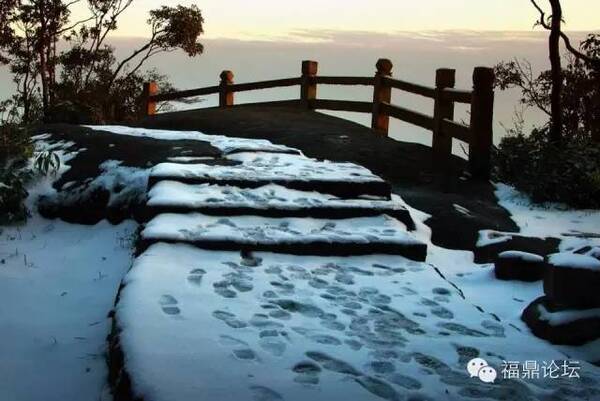 下雪了?福鼎真的要会下雪吗?气象预报这样说