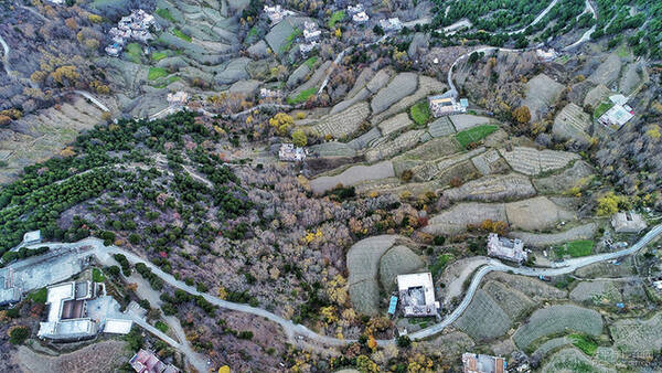 天逸川西游记