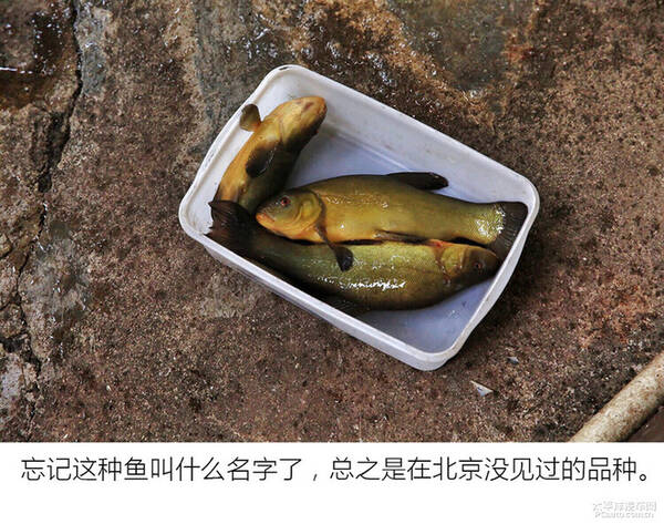 天逸川西游记