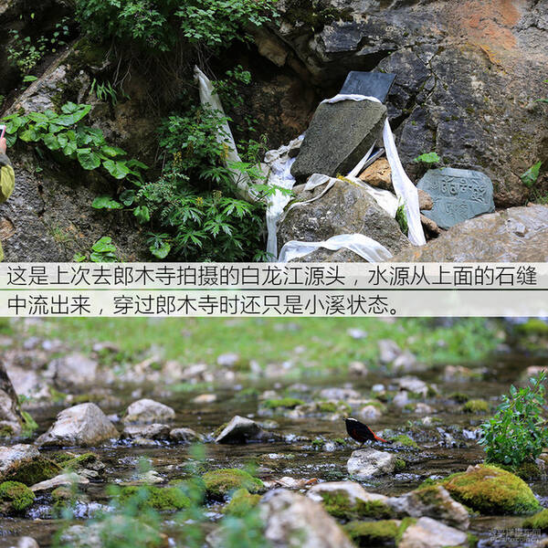 天逸川西游记
