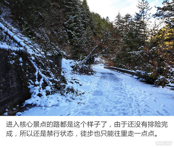 天逸川西游记