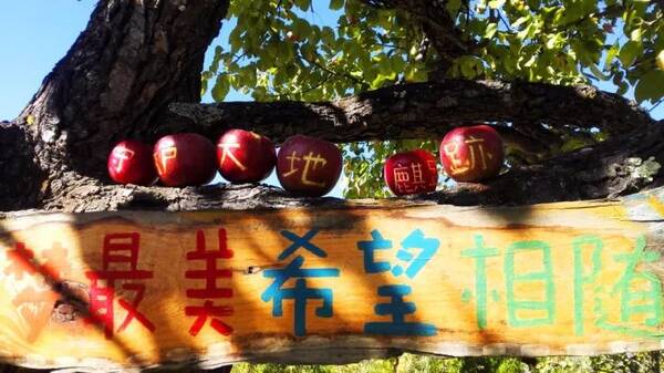 放不烂的苹果?!20年坚持有机种植,日本有的中