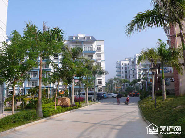 深度解读:海南万宁房价及兴隆楼盘价格